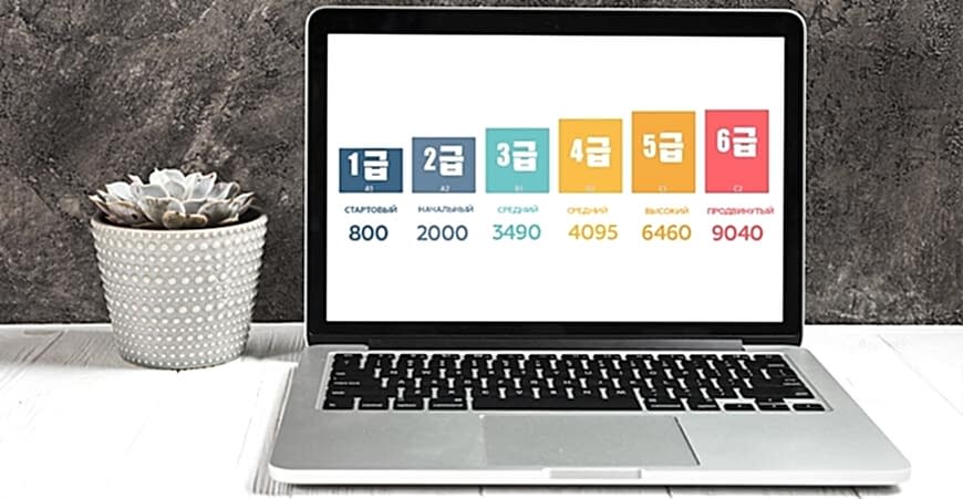 Уровни корейского языка